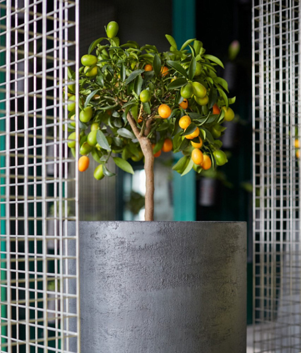 Кашпо Delight Collection TOPPER TOPPER NERO