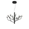Подвесная люстра Delight Collection P0550 P0550-12A black