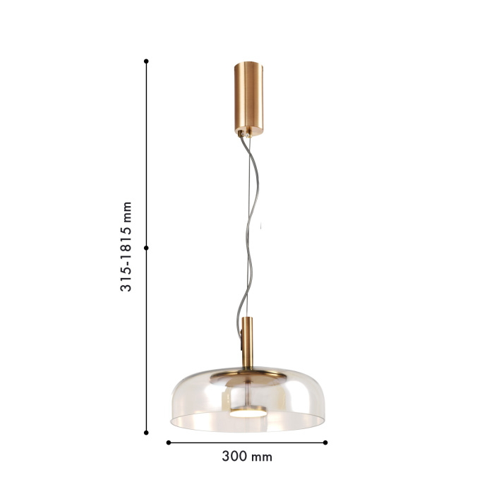 Подвесной светильник Favourite 4258-1P