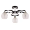 Потолочная люстра Arte Lamp Ginevra A1604PL-3BK