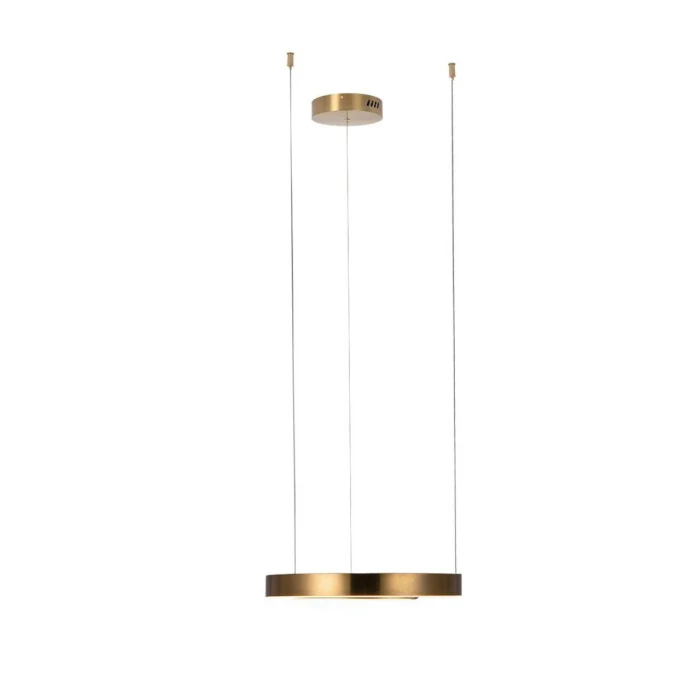 Светильник подвесной Loft it Ring 10013S
