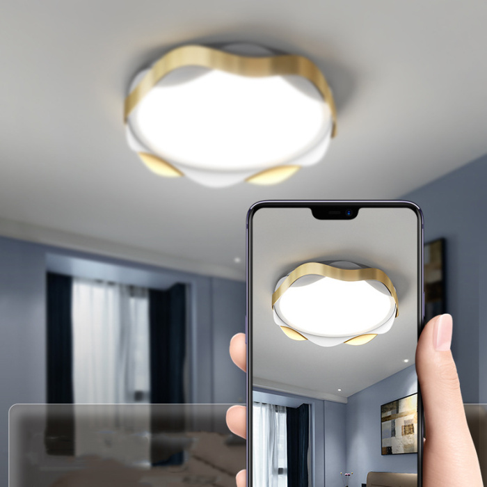 Потолочный светильник MAARET D50 Black ImperiumLoft