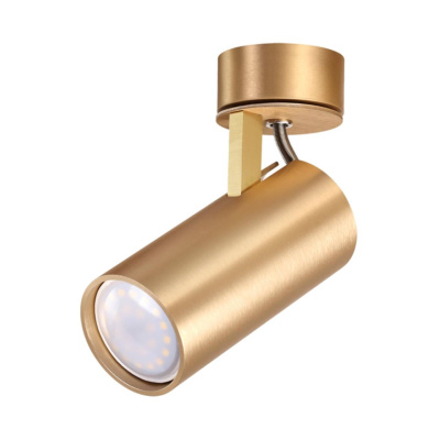 Спот ODEON LIGHT 3876/1C