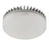 Светодиодная лампа LIGHTSTAR 929062