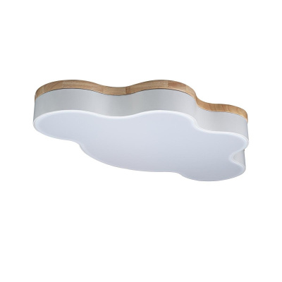 Светильник потолочный LOFTIT Axel 10005/36 White