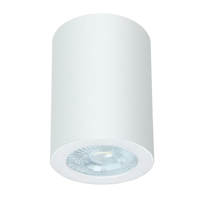 Светильник точечный накладной со сменной лампой Arte Lamp TINO A1468PL-1WH