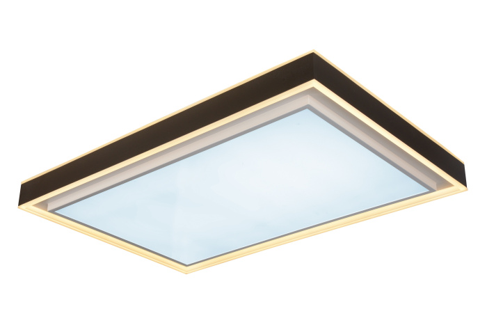 Потолочный светильник iLedex Summery B6233-196W/930*630 WH