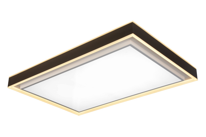 Потолочный светильник iLedex Summery B6233-196W/930*630 WH