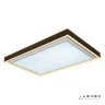 Потолочный светильник iLedex Summery B6233-196W/930*630 WH