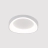 Потолочный светильник Arte Lamp SUALOCIN A2698PL-48WH
