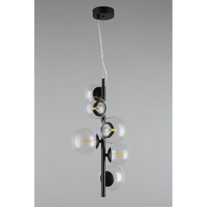 Светильник подвесной Aployt Feliche APL.334.06.06