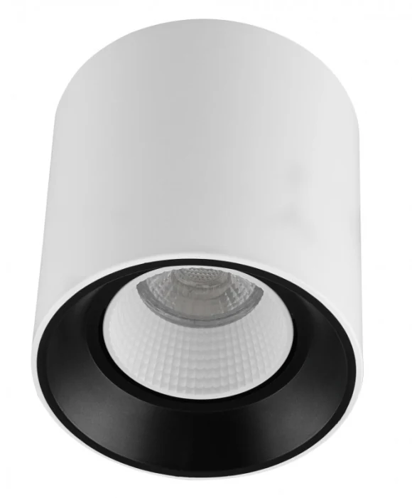 Накладной светильник Denkirs Rodvig DK3090-WB+WH