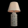 Настольная лампа Loft it Agapanthus 10385T/A
