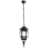 Уличный подвесной светильник Arte Lamp ATLANTA A1045SO-1BN