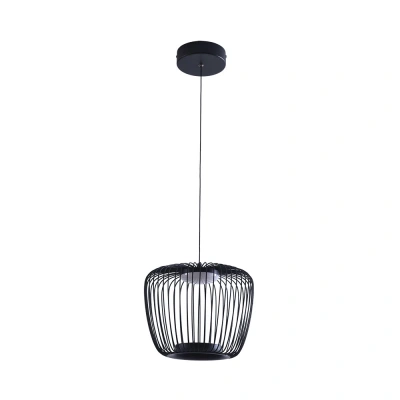 Подвесной светильник Arte Lamp FLARE A3529SP-12BK