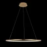 Подвесной светильник Loft it Ring 10014L