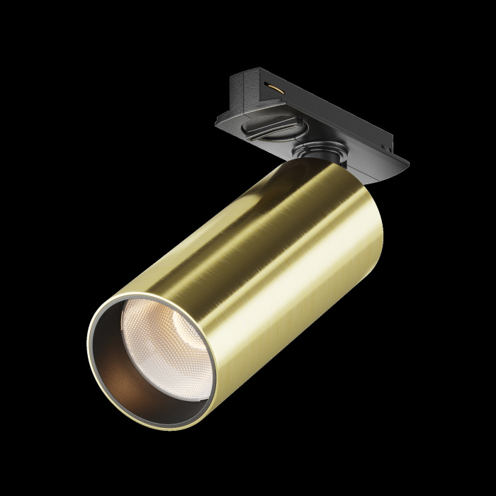 Трековый светильник Maytoni Focus LED TR021-1-12W3K-W-BBS