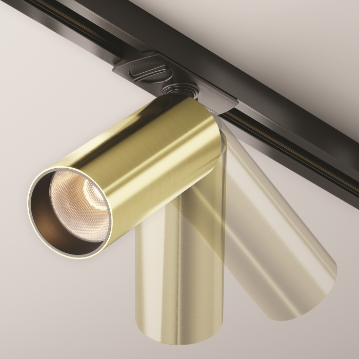 Трековый светильник Maytoni Focus LED TR021-1-12W3K-W-BBS