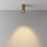 Потолочный светильник Maytoni Focus LED C056CL-L12W2.7K-W-BS