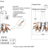 Люстра Crystal Lux STEFANIA SP6R