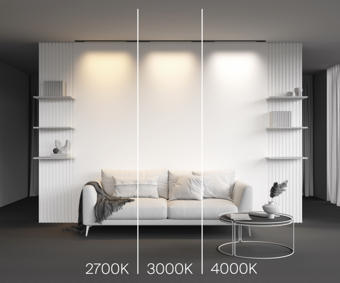 Трековый светильник Maytoni Basis TR190-1-10W4K-B