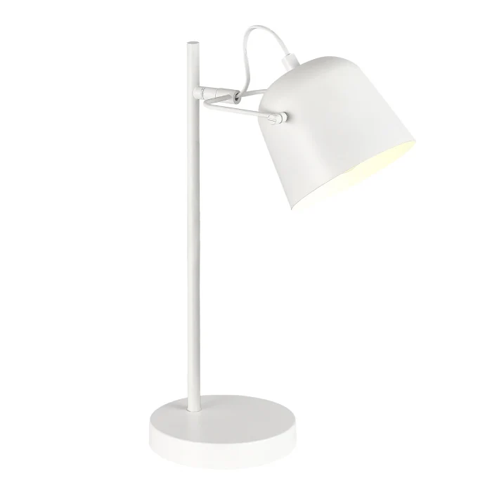 Настольный светильник evoluce BLANK SLE1805-504-01