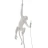 Подвесной светильник Seletti Monkey Lamp 14883