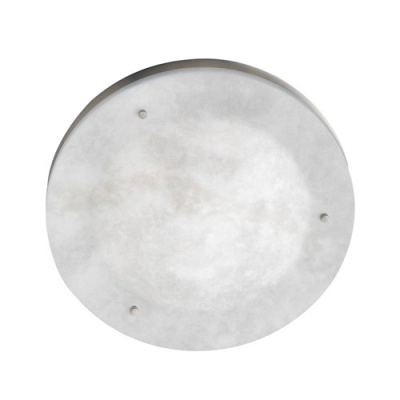 Потолочный светильник Leds C4 EVOLUTION 15-0347-81-55