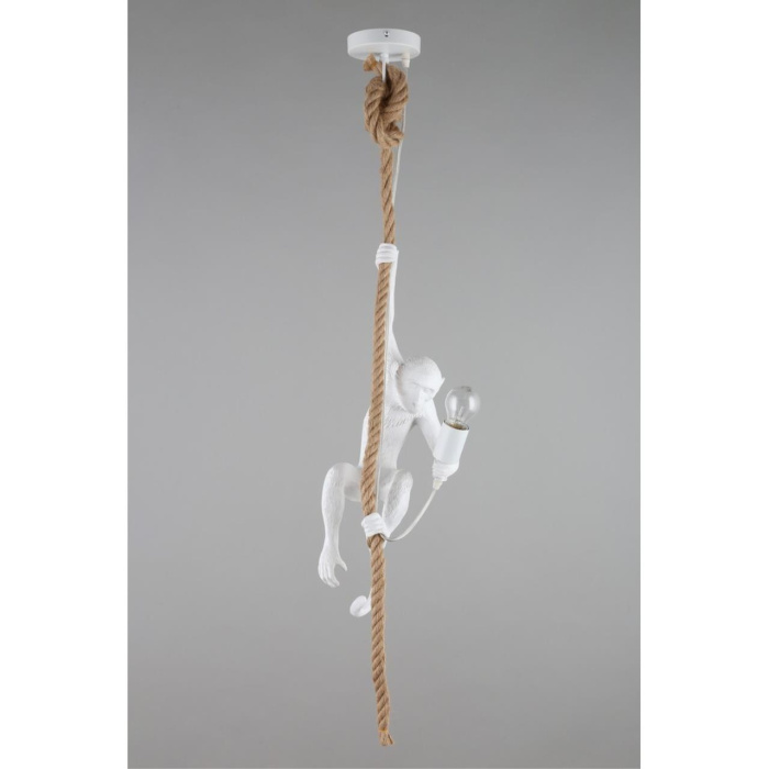 Светильник подвесной Aployt Magali APL.309.06.01