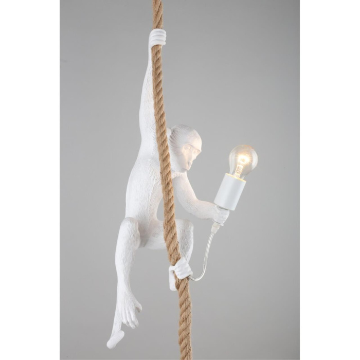 Светильник подвесной Aployt Magali APL.309.06.01