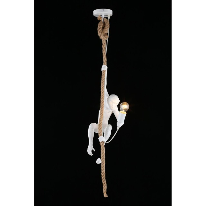 Светильник подвесной Aployt Magali APL.309.06.01