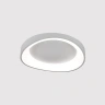Потолочный светильник Arte Lamp SUALOCIN A2698PL-60WH