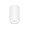 Корпус светильника накладной Ambrella light C8161