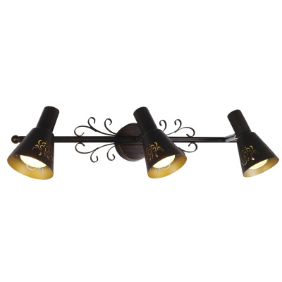 Спот поворотный Citilux Дункан CL529531