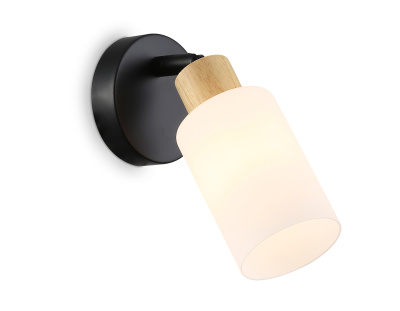 Настенно-потолочный спот в стиле лофт AMBRELLA light TR8720