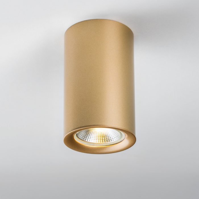 Насадка торцевая на светильник Lightstar Rullo 204440