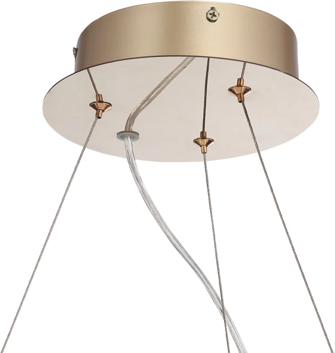Подвесная люстра ST Luce Lightsome SL6135.213.01