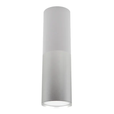 Потолочный светильник Escada 20007 20007SMU/02LED SWH/CH