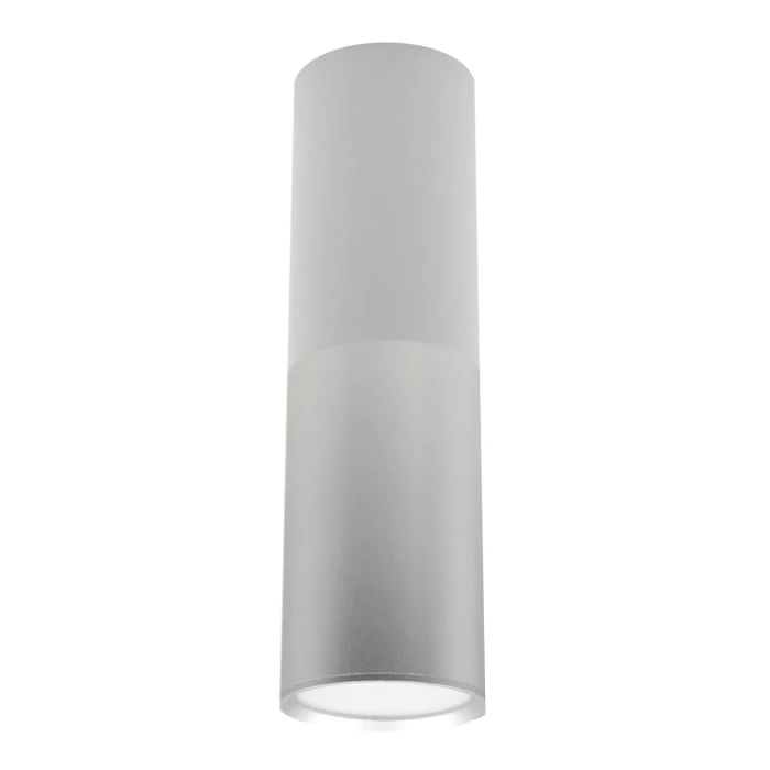 Потолочный светильник Escada 20007 20007SMU/02LED SWH/CH