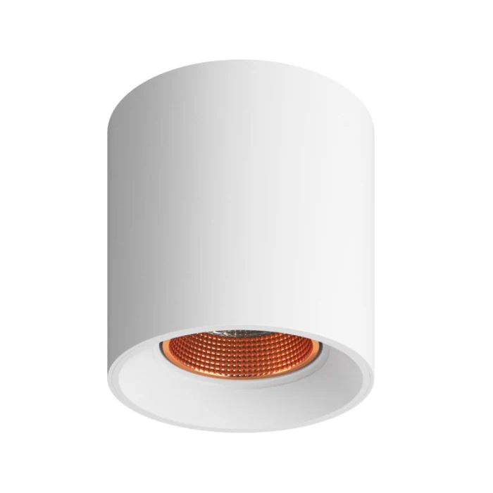 Накладной светильник Denkirs Rodvig DK3090-WBR