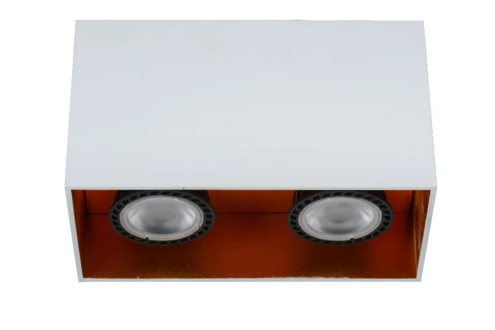 Накладной светильник Lucide Bodibis 22966/02/31