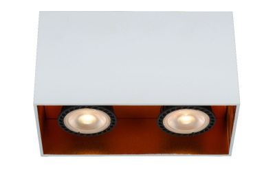 Накладной светильник Lucide Bodibis 22966/02/31