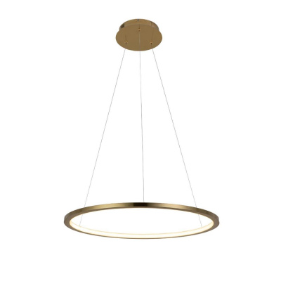 Светильник подвесной Loft it Ring 10014M