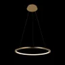 Светильник подвесной Loft it Ring 10014M