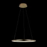 Светильник подвесной Loft it Ring 10014M