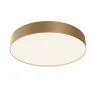 Потолочный светодиодный светильник Maytoni Technical Ceiling Zon C032CL-45W4K-RD-MG