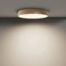 Потолочный светодиодный светильник Maytoni Technical Ceiling Zon C032CL-45W4K-RD-MG