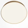 Потолочный светодиодный светильник Maytoni Technical Ceiling Zon C032CL-45W4K-RD-MG