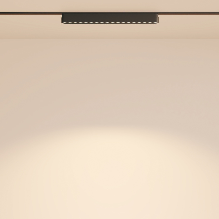 Трековый светильник Maytoni Points TR082-1-18W3K-M-B