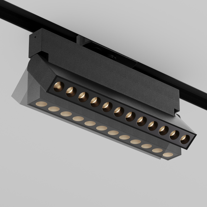 Трековый светильник Maytoni Points Rot TR224-1-12WCCT-M-B